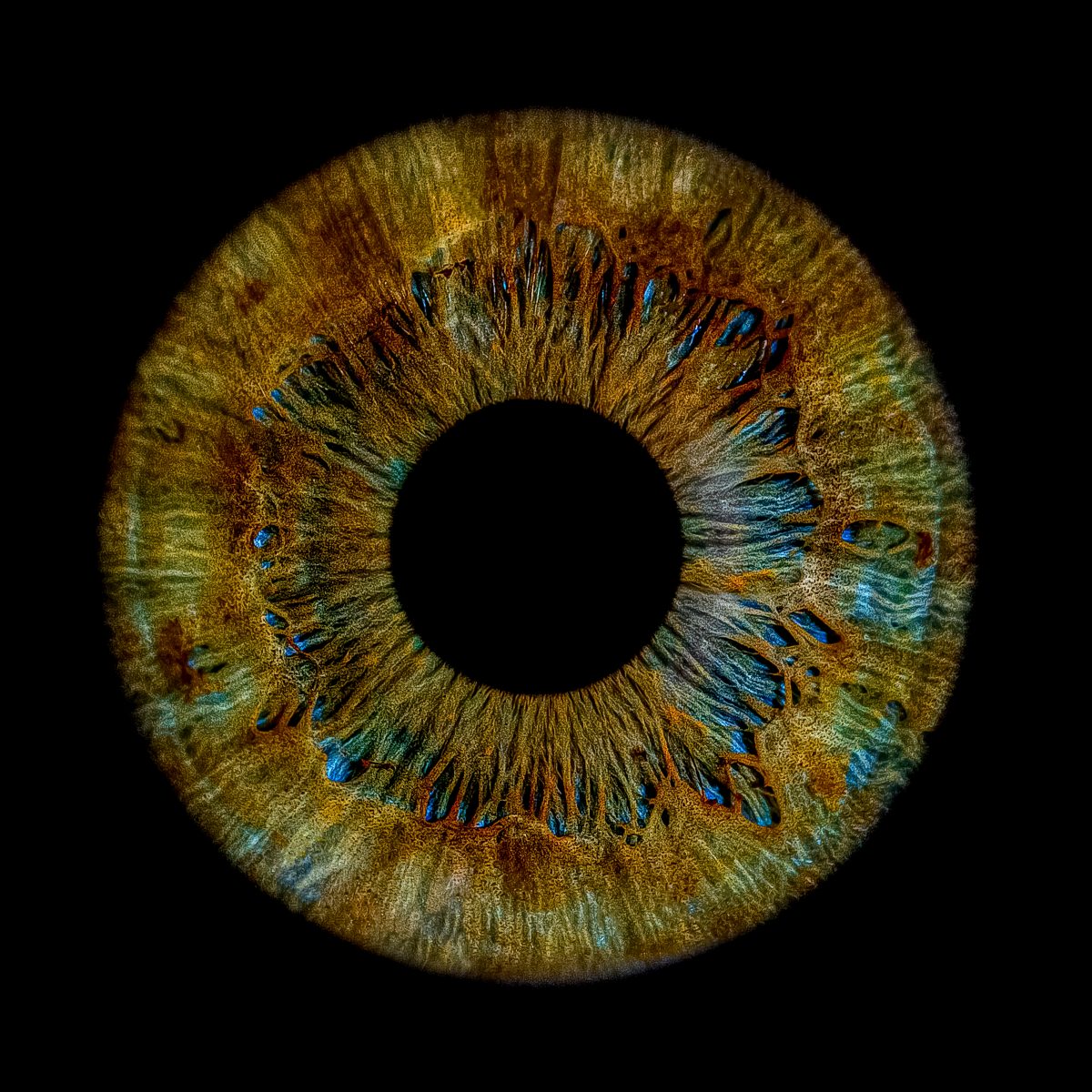 ZK-MEDIEN // Irisfotografie. Deine Iris - Dein Kunstwerk